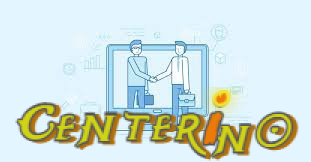 What Makes Visitors Trust a Website Enough to Stay?