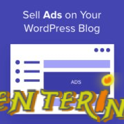 What are the conditions for a WordPress blog to earn from StudAds.com?