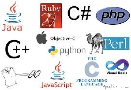 Data analysis and reports