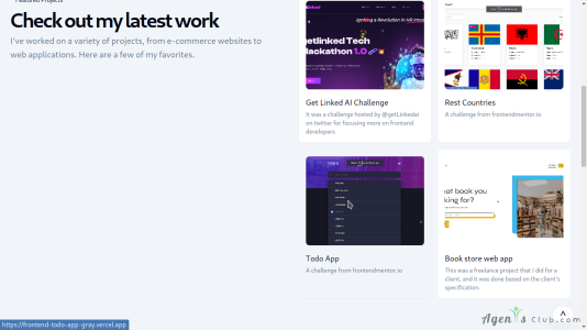 Frontend Developer
