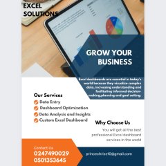 Dashwise Excel Solutions